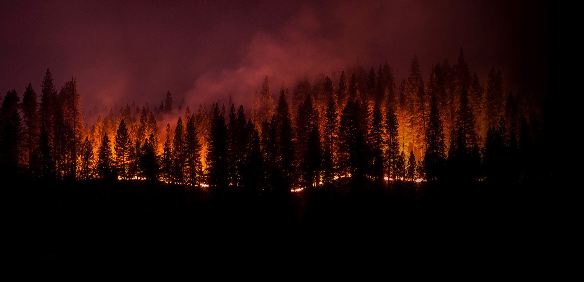 wildfire-dark